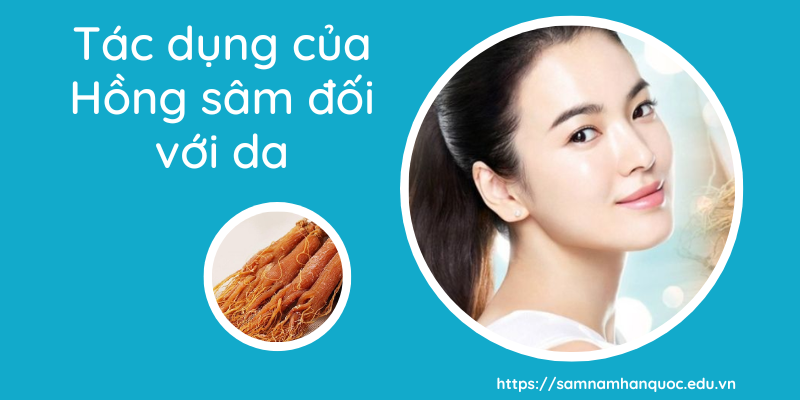 tác dụng của hồng sâm đối với da