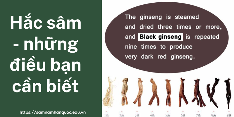 Hắc sâm - Những điều bạn cần biết Hắc sâm - những điều bạn cần biết