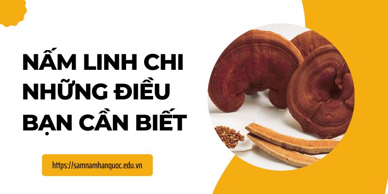 NẤM LINH CHI